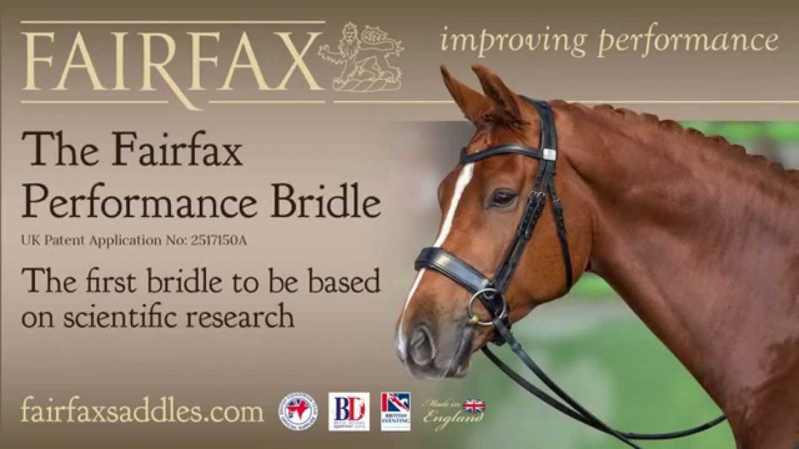 Fairfax performance bridle